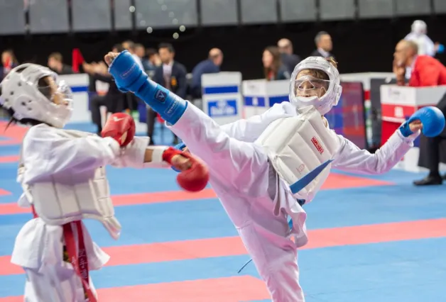 Karatekas