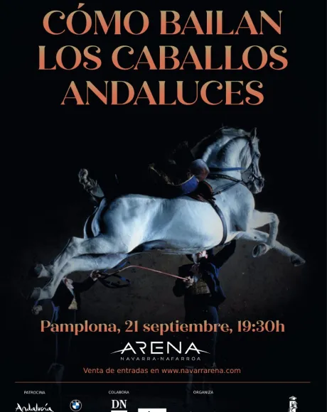 Cómo bailan los caballos andaluces 2024 catel