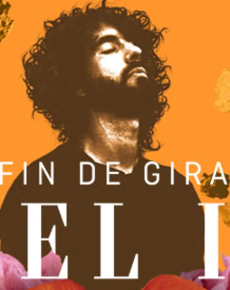 Cartel Fin de Gira de Mikel Izal en Navarra Arena.